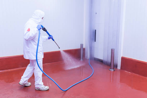 Best Vinyl Siding Pressure Washing in Carmi, IL